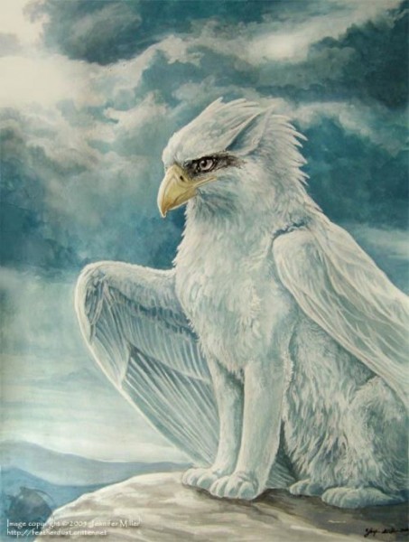 gryf1