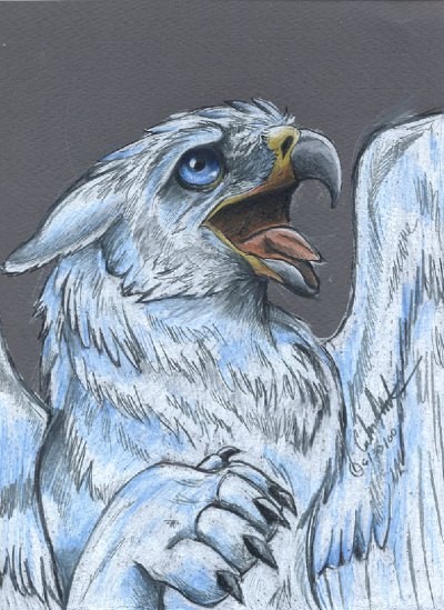 gryf2